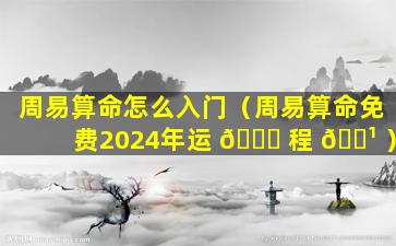 周易算命怎么入门（周易算命免费2024年运 🐘 程 🌹 ）